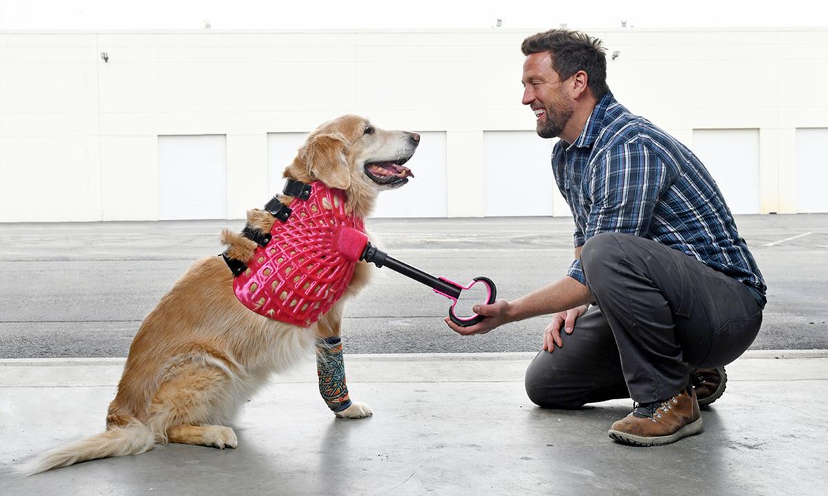 Meet the Man Who’s Helped Thousands of Animals With Limited Mobility Walk Again