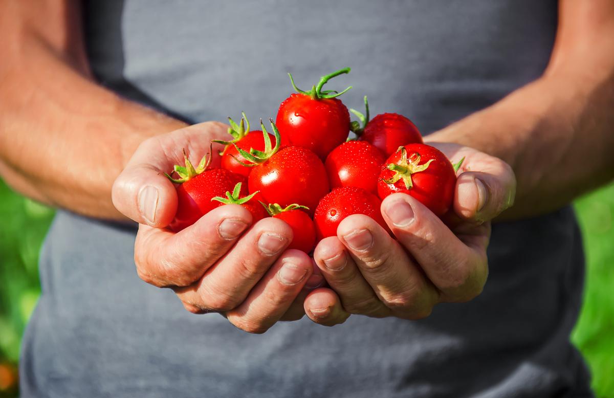 13 Diet & Lifestyle Tips for Prostate Health