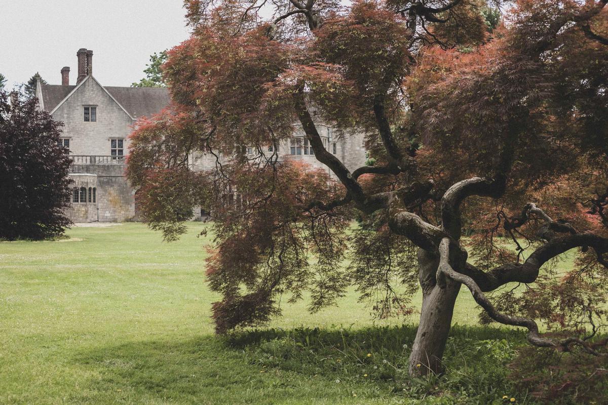 Planting Fields Arboretum: A Botanical Paradise in New York Reminiscent of the Old English Countryside
