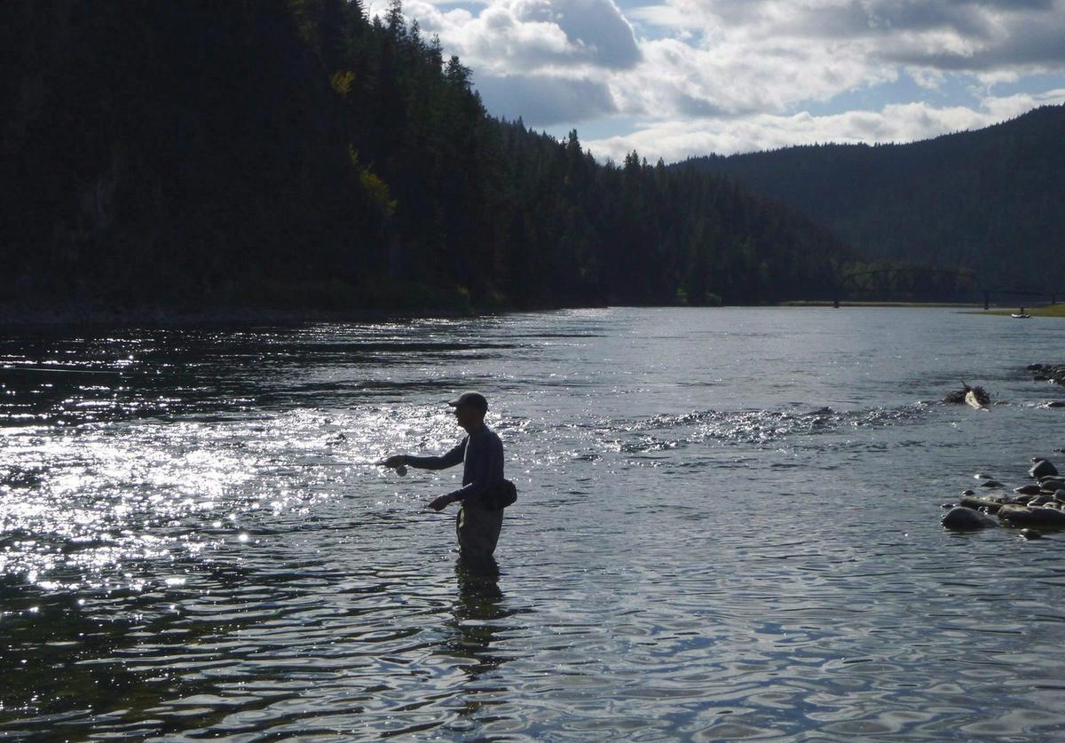 International Commission Asks Canada to Join Probe of Selenium Flowing From BC