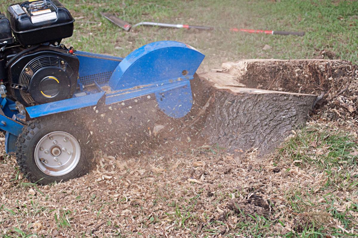 Remove a Tree Stump