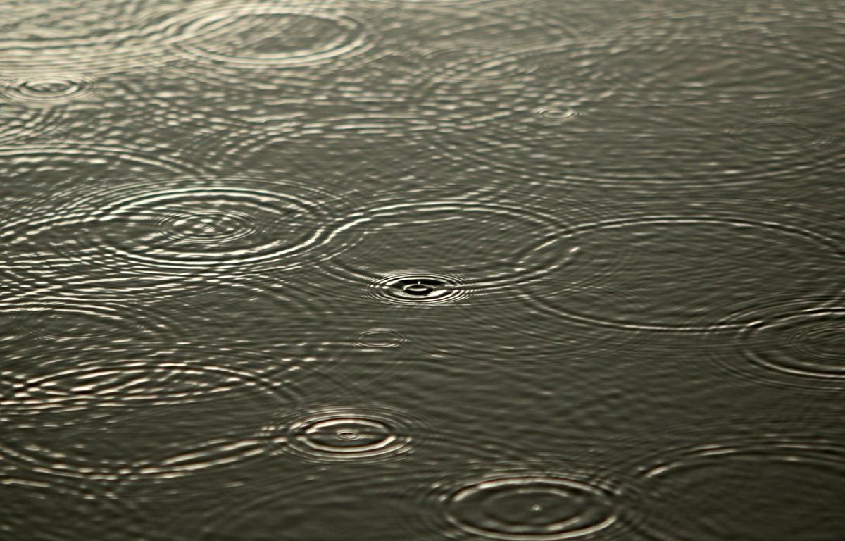 Large Part of Southern BC Under Flood Warnings, Watches as Storm Bears Down