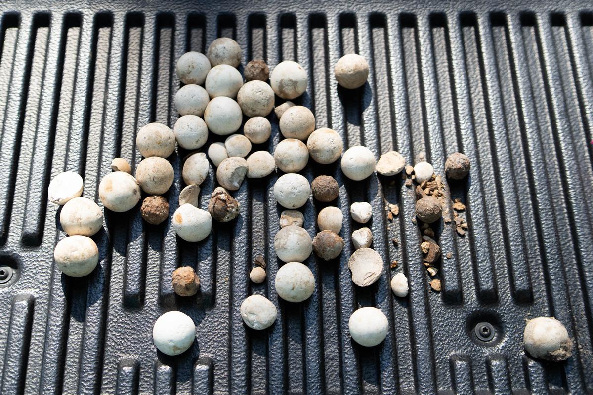 In Florida, Man Finds Remains of a Historic Battlefield in His Driveway