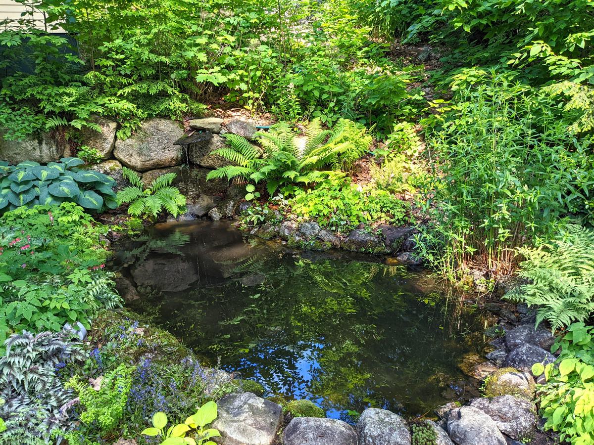 Water in Your Yard Creates Peace
