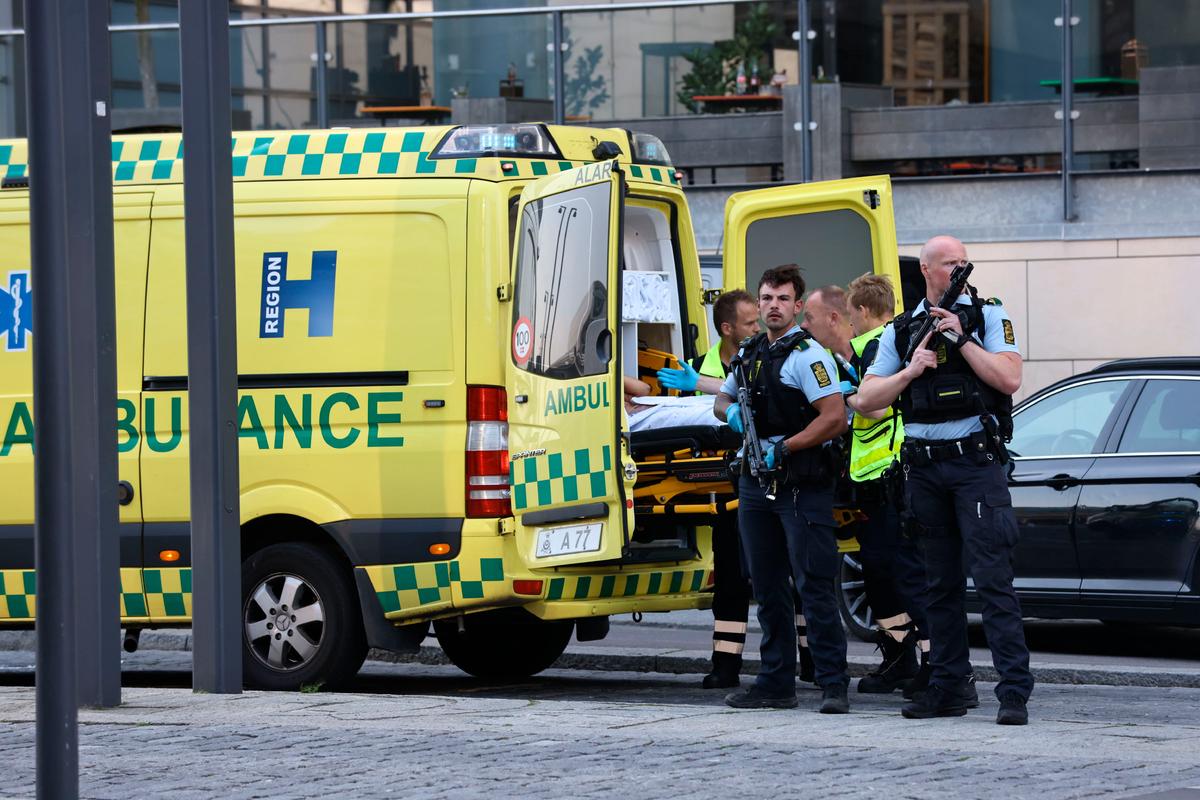 3 Dead, 3 Critically Wounded in Copenhagen Mall Shooting; Suspect Arrested