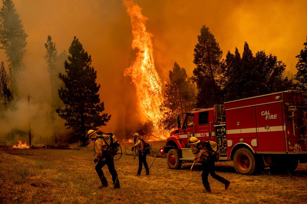 California Forest Fire Burns Out of Control Near Yosemite