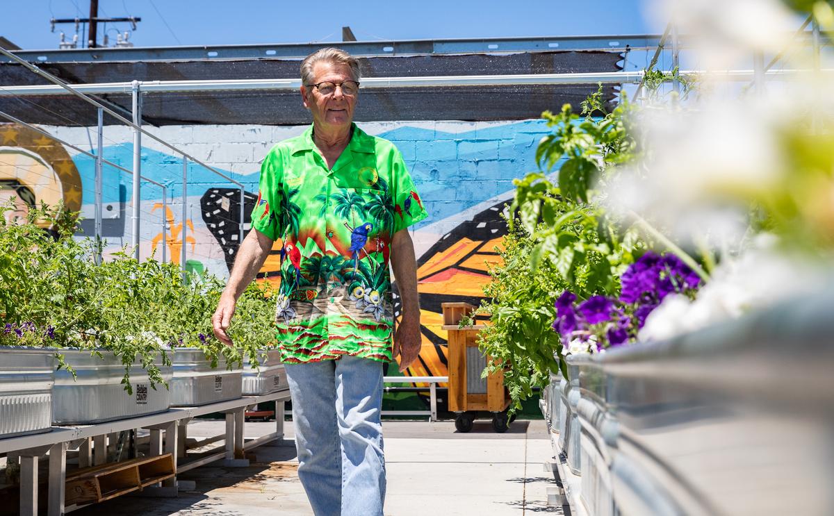 Garden in the Rough: OC Charity Adds Fresh Produce to Food Pantry