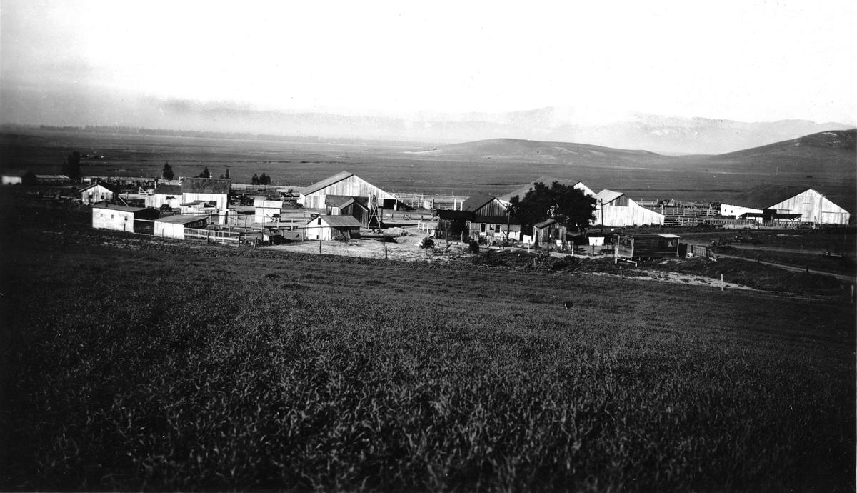 The Last-Second Move That Determined the Fate of Irvine Ranch