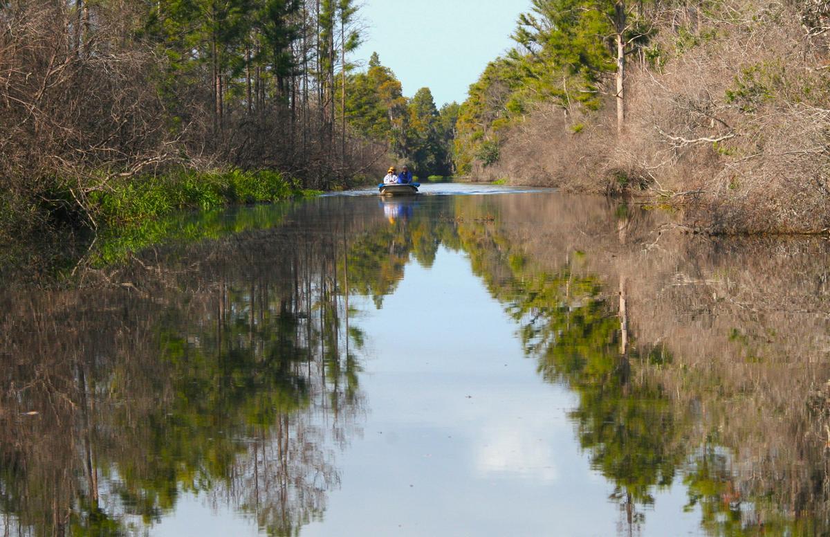 Okefenokee Swamp Lures You in With Its Peaceful, Haunting Beauty