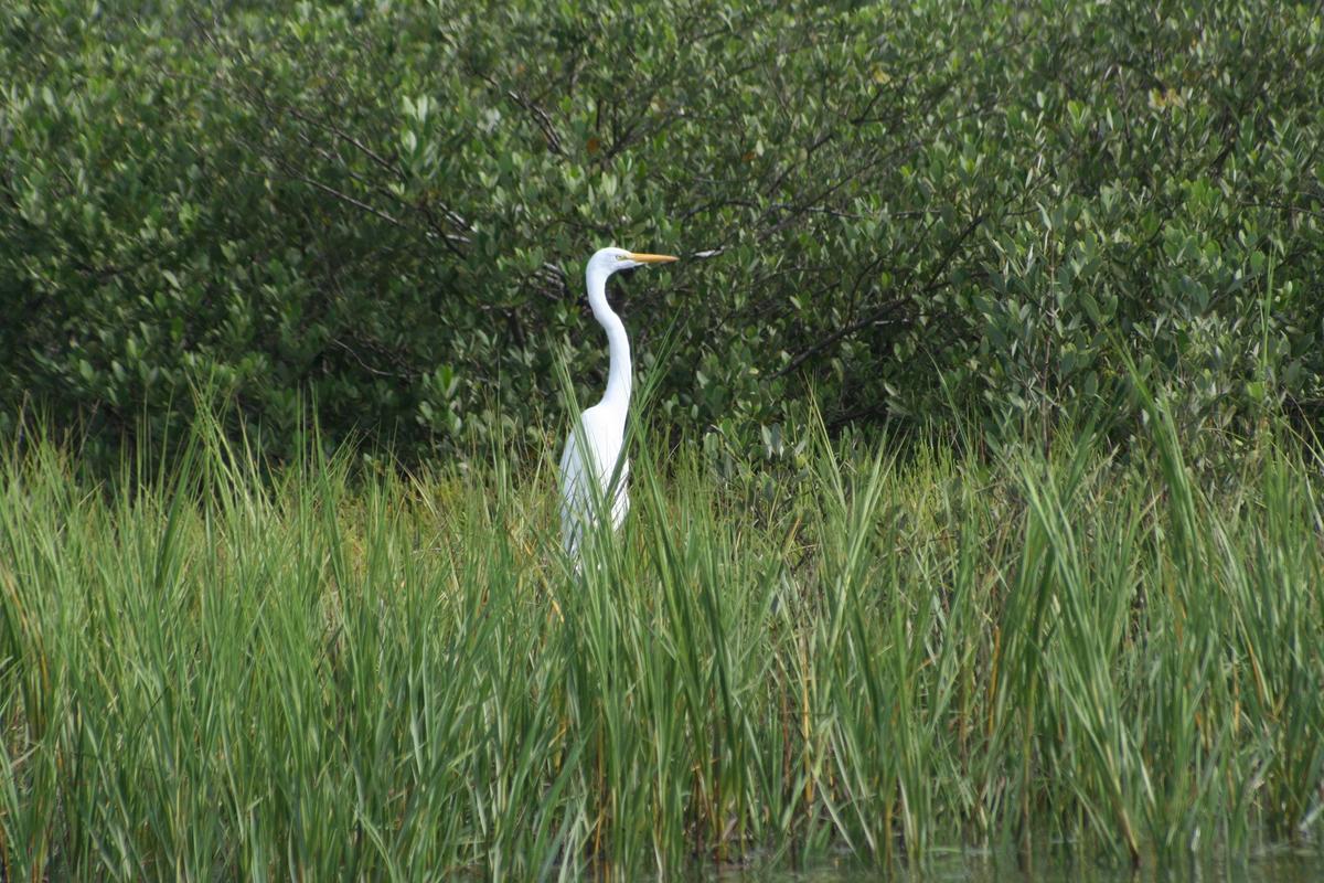 Florida’s Highway A1A Offers Opportunities for Romancing the Road