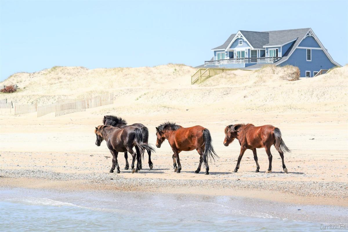 Take an Adventure Vacation in the Outer Banks, North Carolina