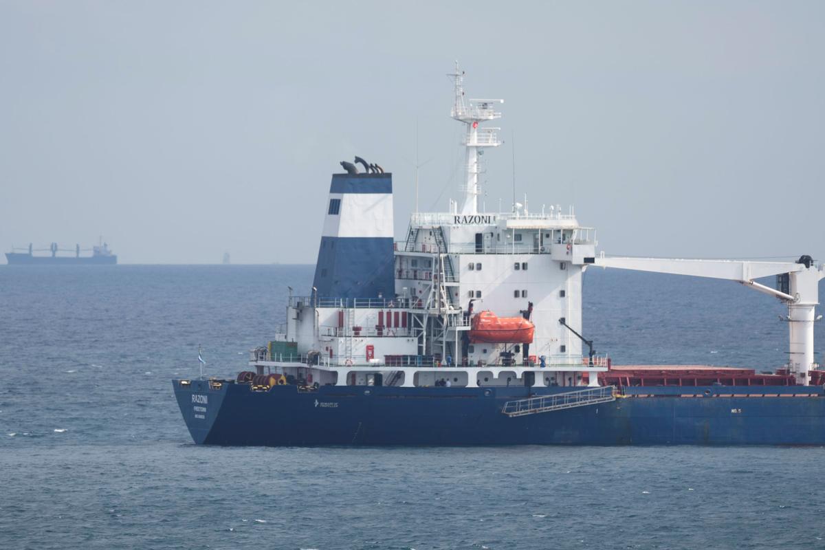 Inspectors OK First Ukraine Grain Ship but No Sign yet of More