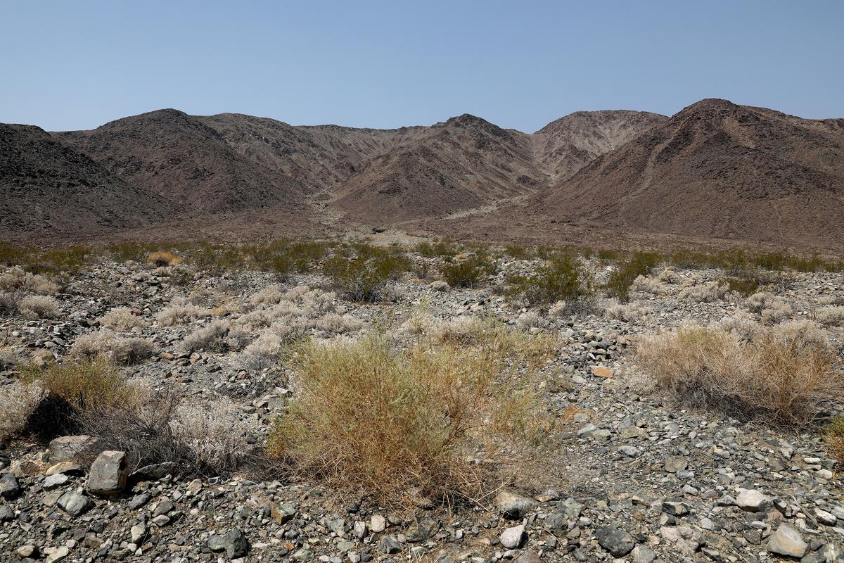 Meet the California Professor Who Hiked 500 Miles Across the Mojave Desert