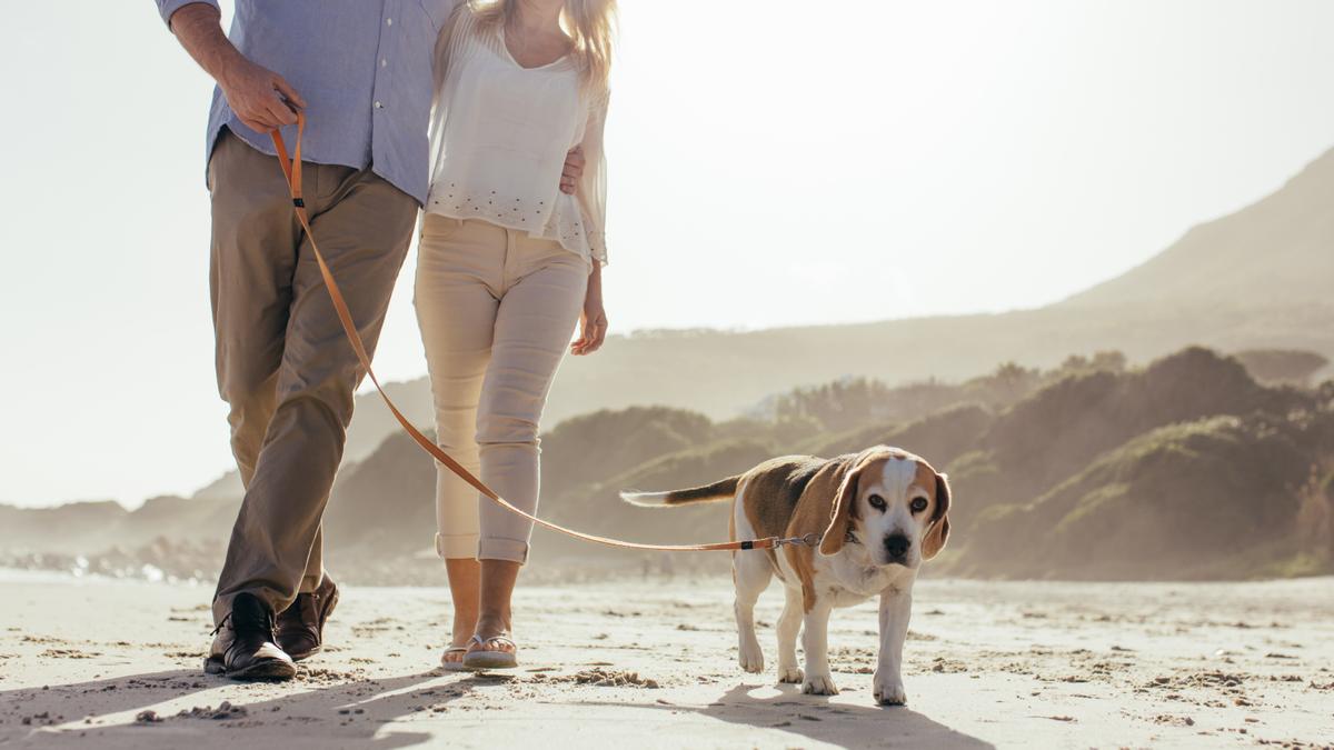 How to Cultivate a Happier Retirement