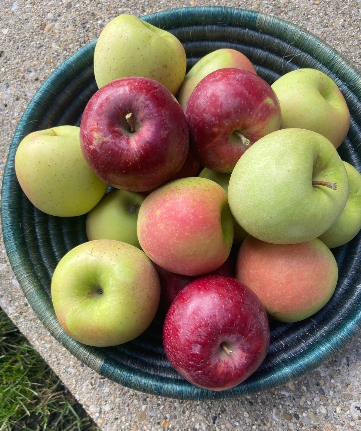 Apples Eaten Shortly After Harvest Taste Vastly Different Than Supermarket Apples (+ Apple Recipes)
