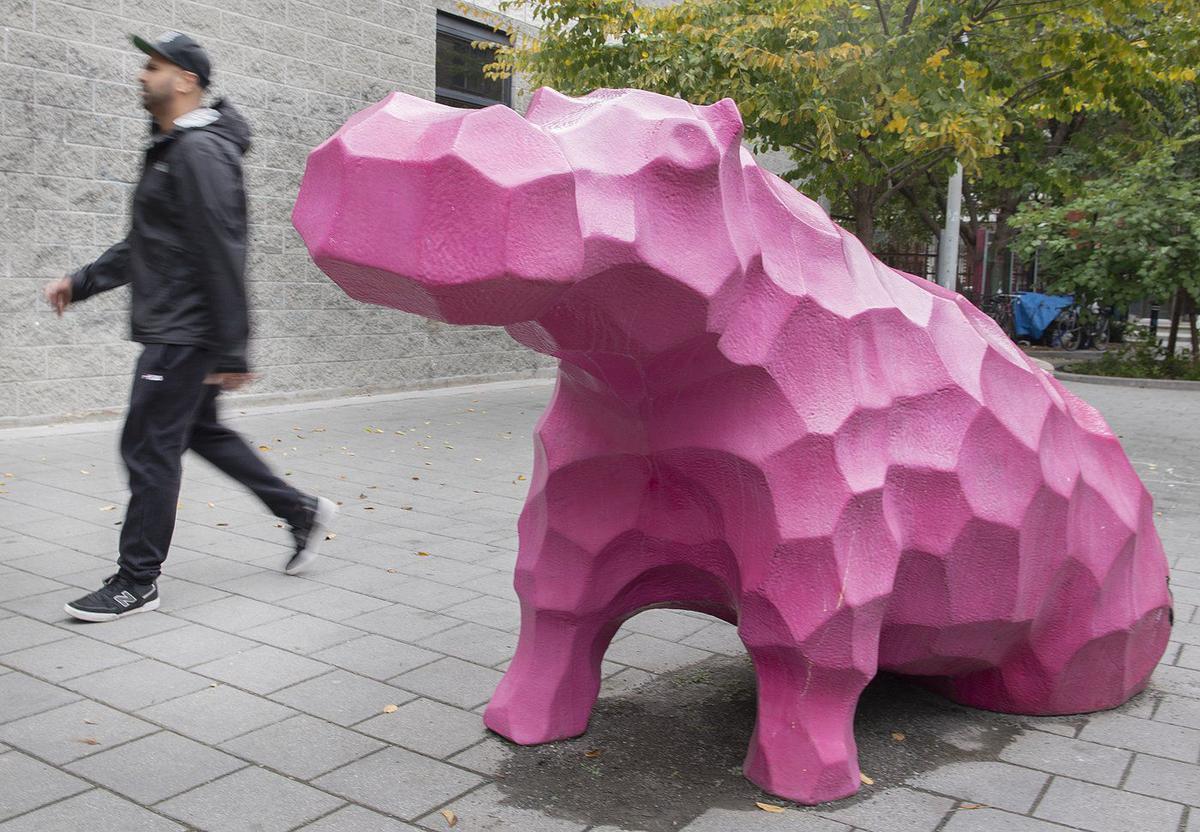 Roadwork Unearths Remnants of 1800s Montreal Zoo Run by the ‘Canadian Barnum’