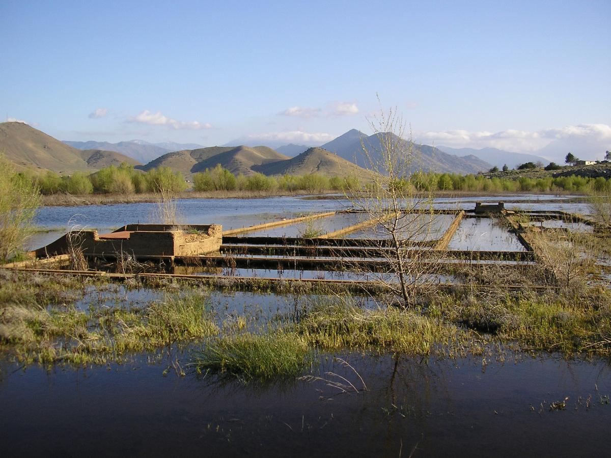 Ghost Towns Resurfacing as Lakes Recede Amid Worsening Western Drought