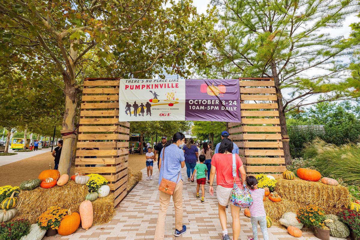 These Are the Top US Pumpkin Patches Worth Traveling To