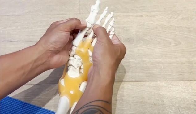 Relax the metatarsal bones to relieve plantar fasciitis. (Courtesy of Amber Health)