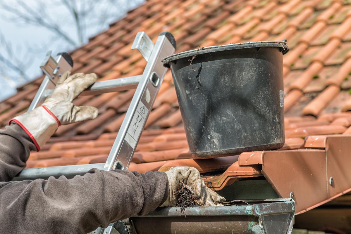 Here Is How to Properly Clean Your Gutters