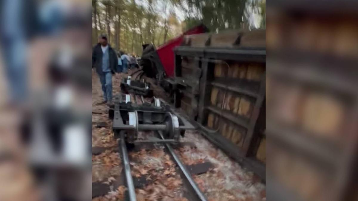 ‘Bounced up Like It Hit a Bump’: Train Derails at Missouri Amusement Park