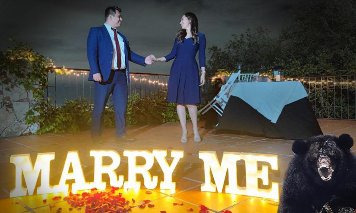 VIDEO: Wild Bear Hilariously Interrupts Marriage Proposal by Walking Across the Scene