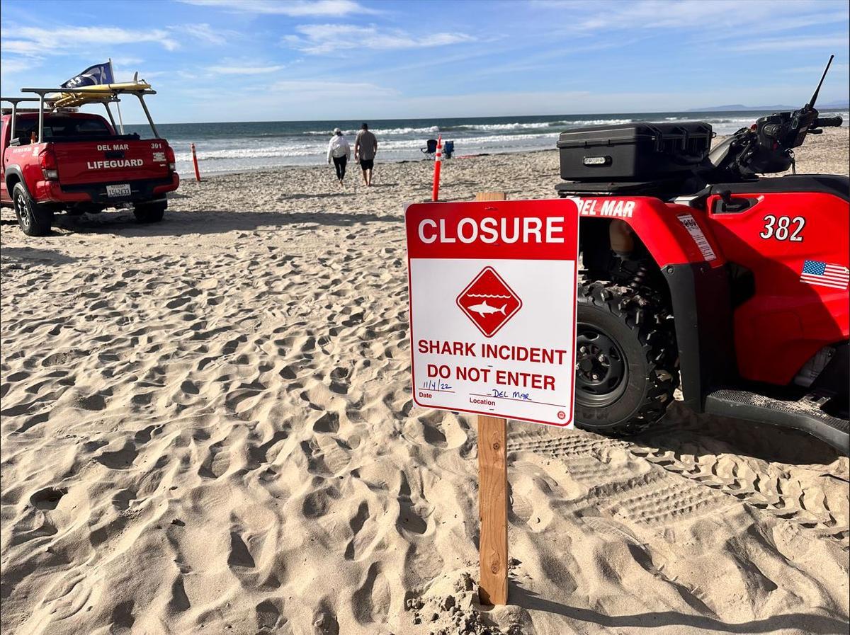 Woman Injured in Apparent Shark Attack in Del Mar