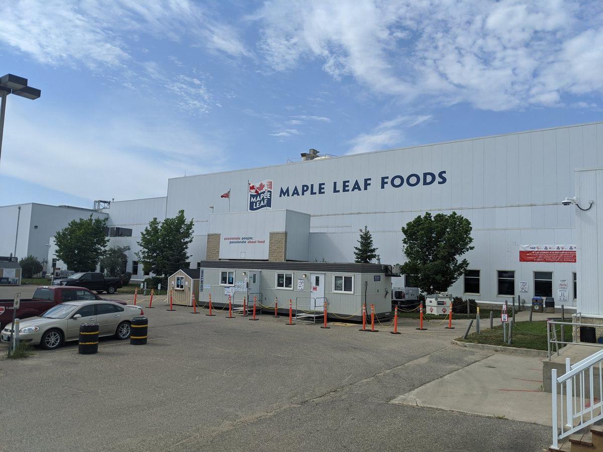 Maple Leaf Foods Takes Plant Protein Business Charge and Reports Q3 Loss, Sales Up