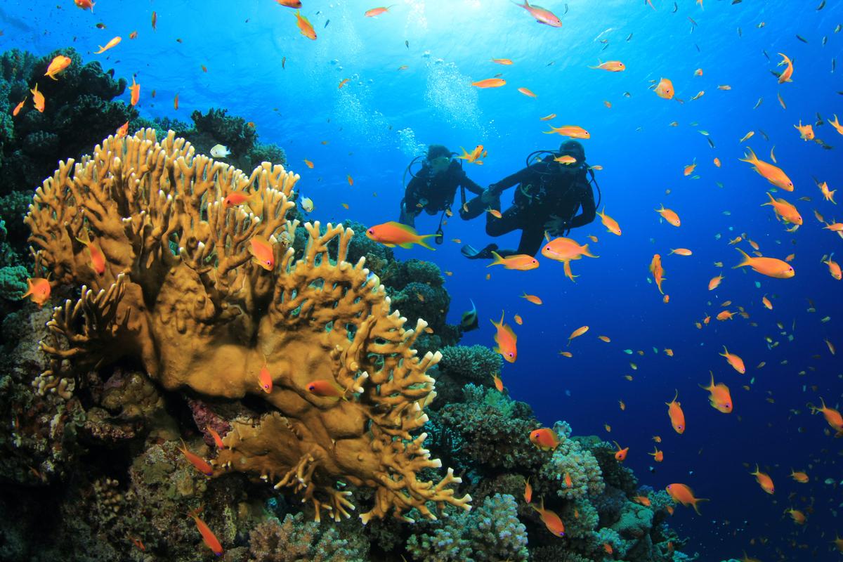 Reasons to Be Thankful for Travel This Fall