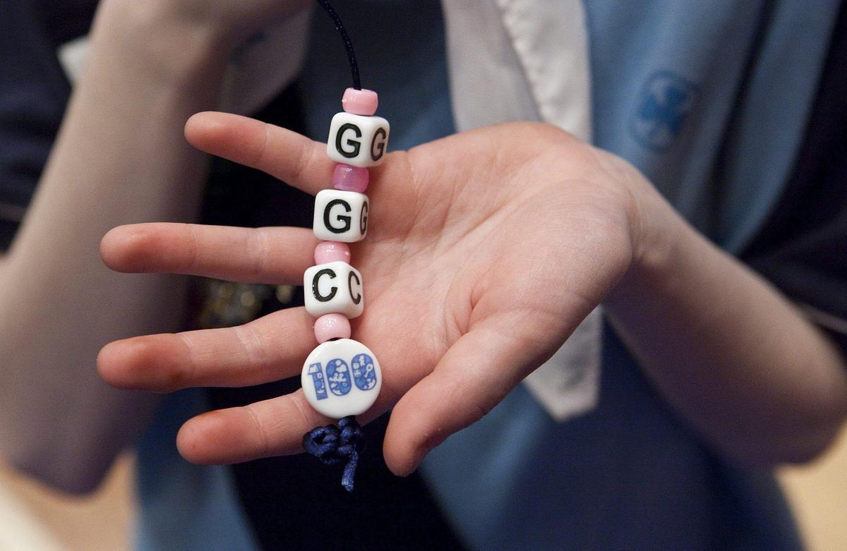 Michael Taube: The Woke Mob Comes for the Girl Guides of Canada