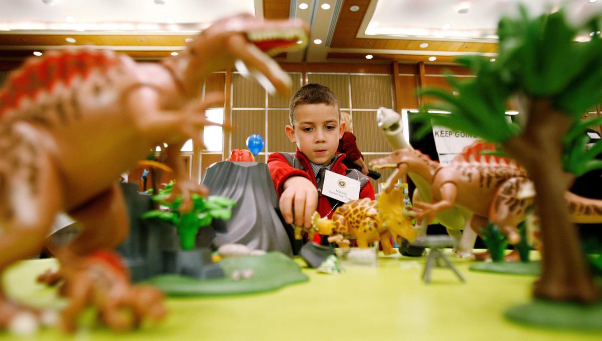 Alberta Health Services Accepts Toys as Payment for Parking Tickets During Holiday Season