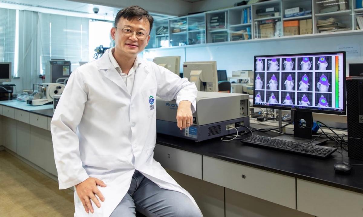 Synthesized Multifunctional Nanoparticles for Diagnosis and Treatment of Brain Glioma