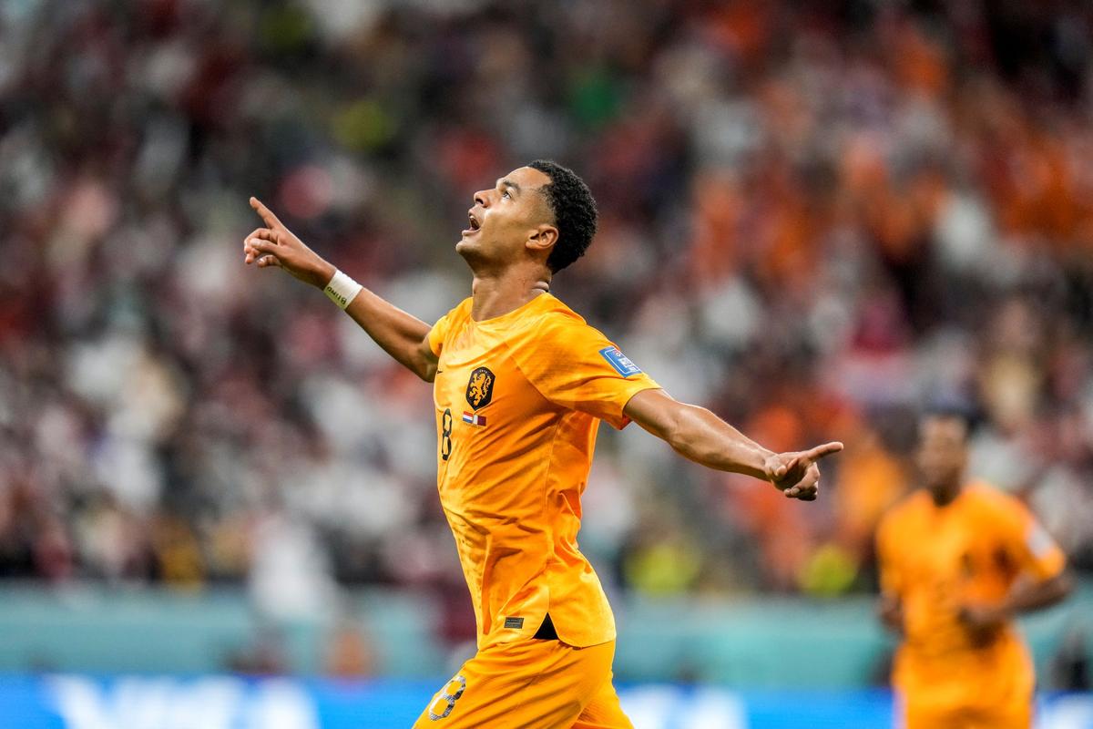 Netherlands Beats Host Qatar 2–0 to Advance at World Cup