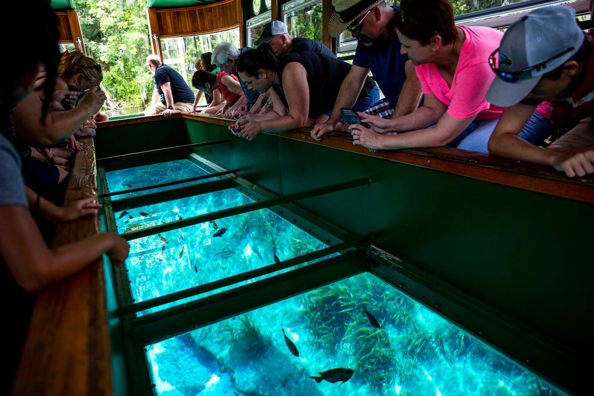 Gifts for Travelers: Florida State Parks, Tank America and the Great American Paint in Book