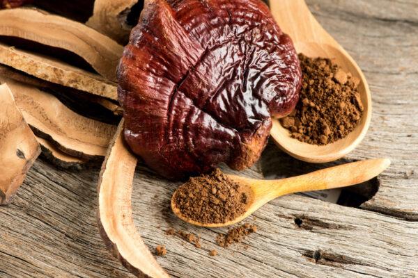 Reishi mushroom has many health benefits, such as <a href="https://www.tandfonline.com/doi/abs/10.1081/FRI-120023480?scroll=top&needAccess=true&journalCode=lfri20">preventing and reversing cancer</a>,<a href="https://pubmed.ncbi.nlm.nih.gov/16230843/"> boosting the immune system</a>, and<a href="https://pubmed.ncbi.nlm.nih.gov/22203880/"> reducing fatigue</a>. (wasanajai/Shutterstock)