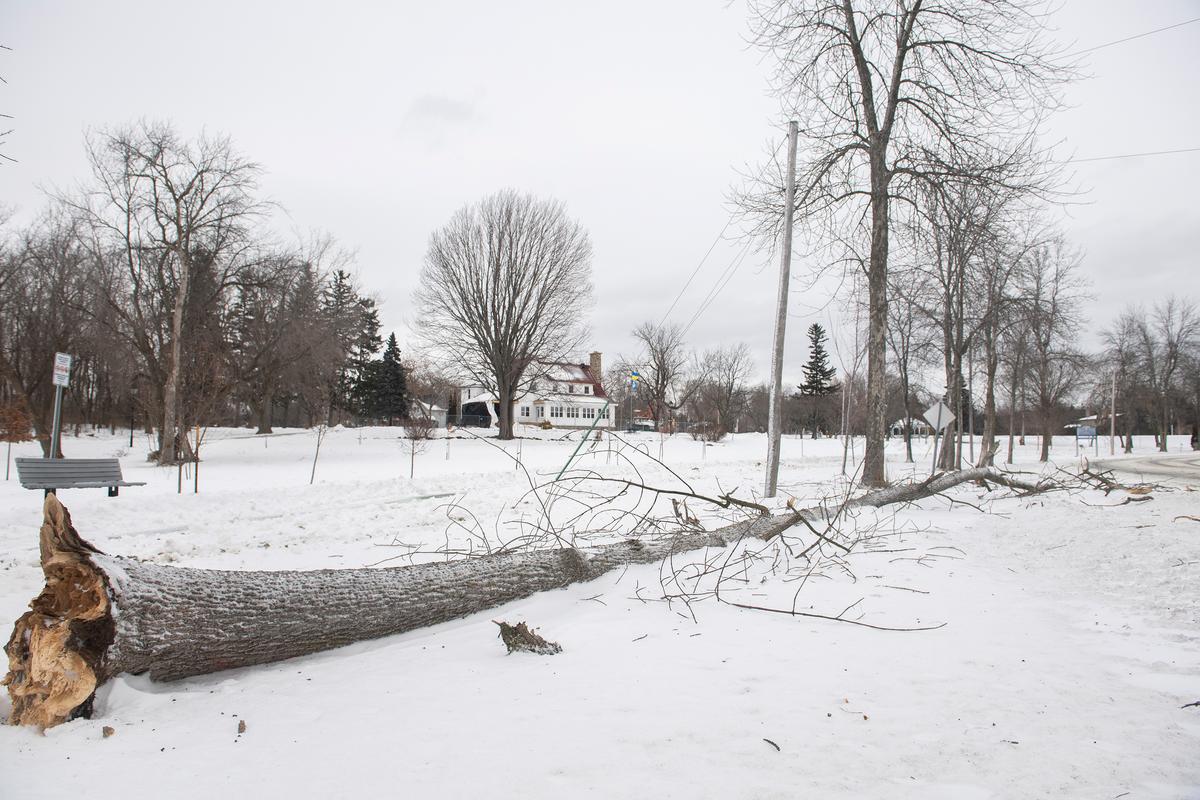 Thousands Remain in the Dark Days After Fierce Storms Knocked Out Power