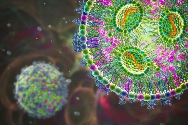 Do mRNA Vaccines Have a Polyethylene Glycol Problem?