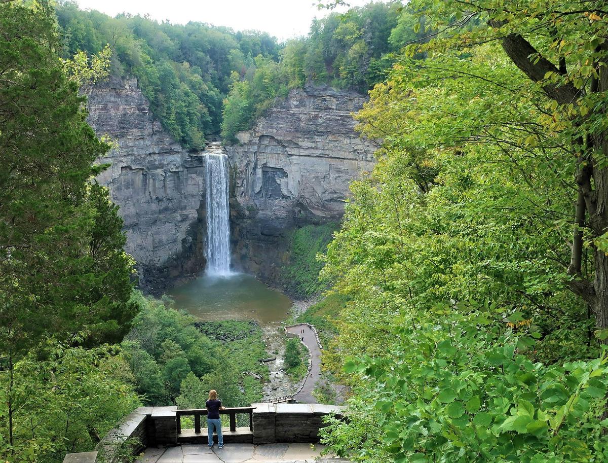 Find Gorges, Greenery, Gardens, and Goats in Ithaca, New York