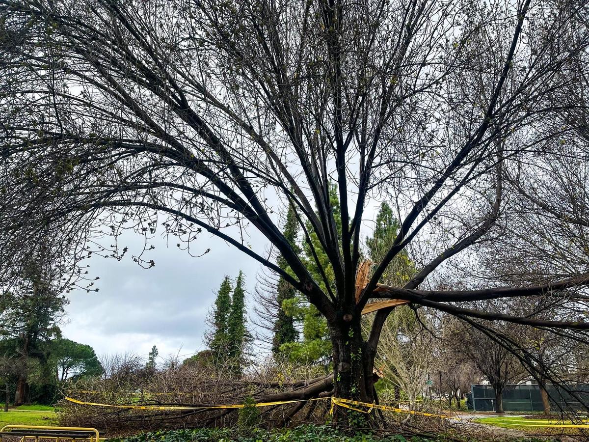 Northern California Seeks Recovery After Being Battered by Storms