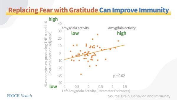 Replacing fear with gratitude can improve immunity. (The Epoch Times)