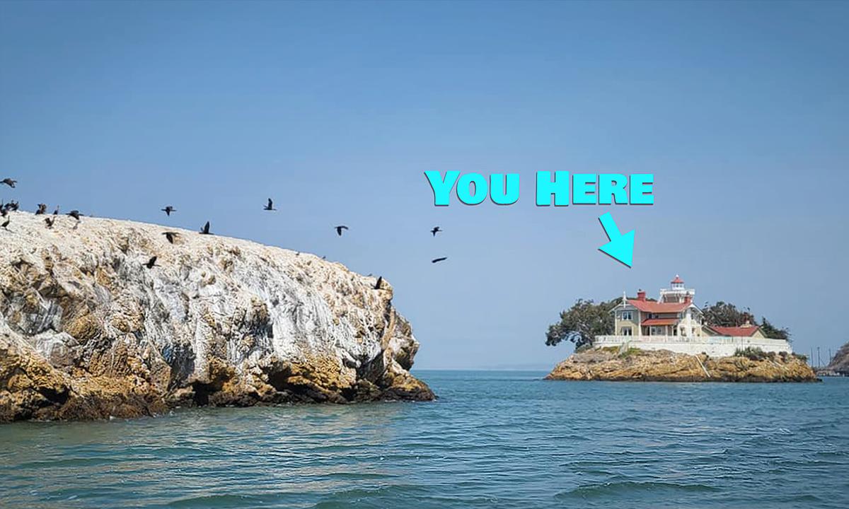 Lighthouse Looking to Pay Persons $140,000 to Live on a Rock in San Francisco Bay, Tend Bed & Breakfast