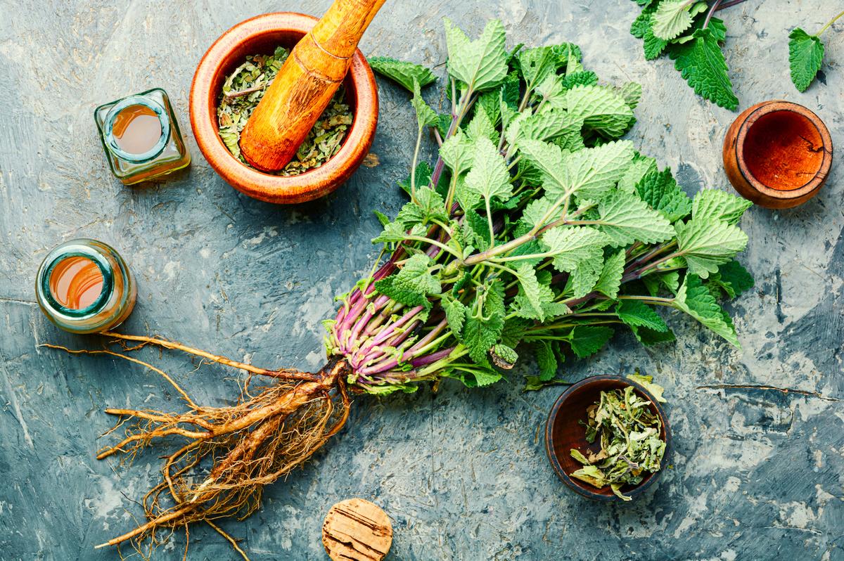 Best Aromatherapy Herb for Alzheimer’s