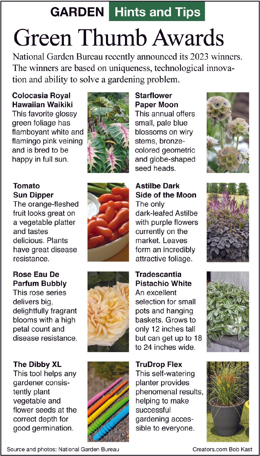 green thumb awards