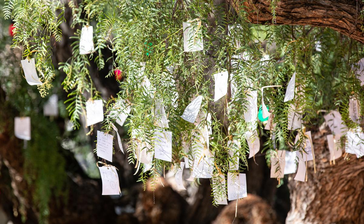 ‘Wishing Tree’ at Sherman Library and Gardens Draws Crowds as Event Soon Ends