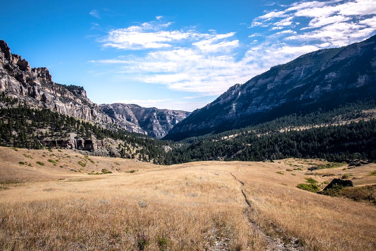 Getting Roped In by Wyoming