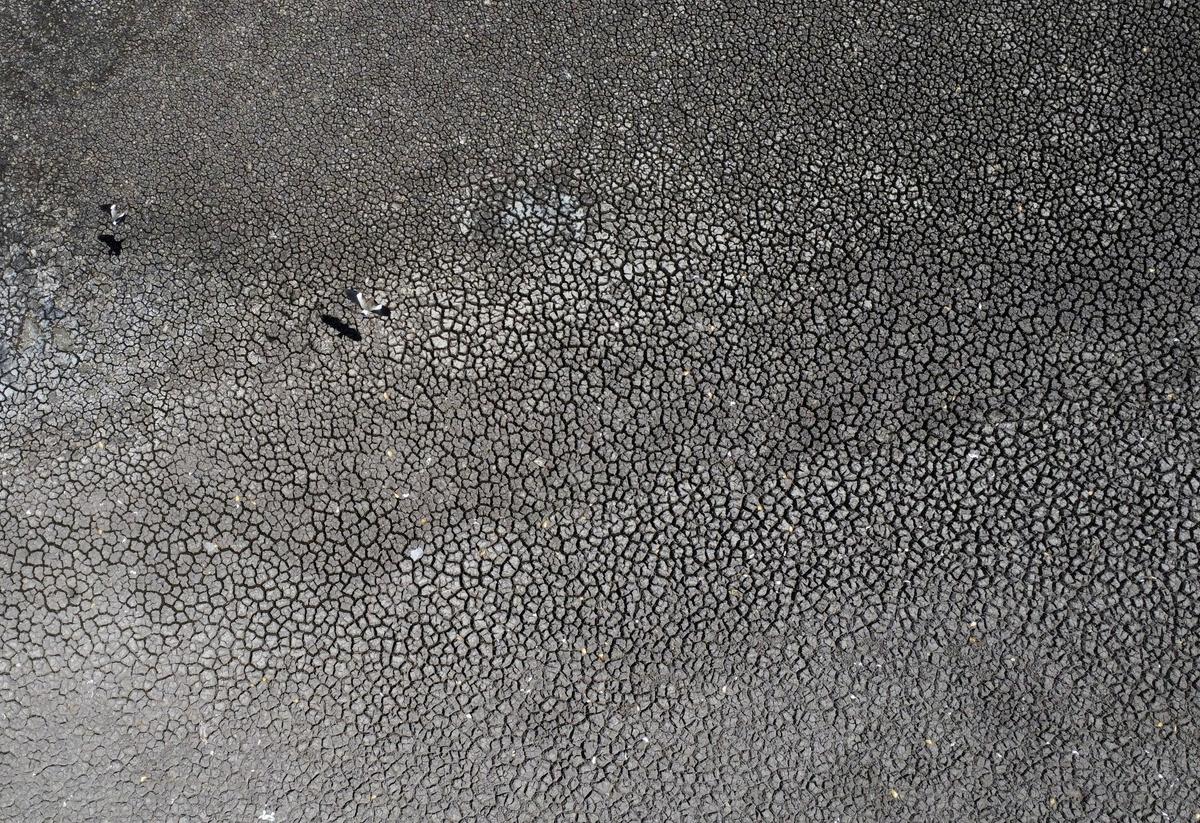 Natural Disasters Caused $313 Billion Economic Loss in 2022: Aon