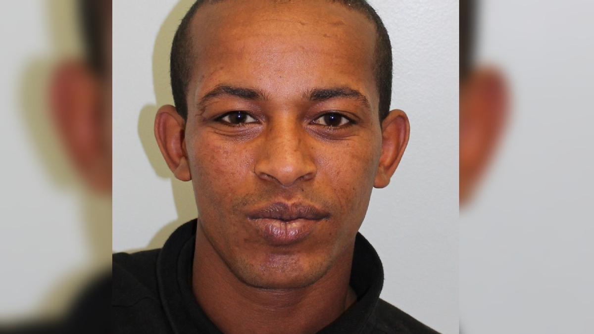 Eritrean Refugee Murdered Complete Stranger in London Street Before ‘Courageous’ Intervention by Skateboarders
