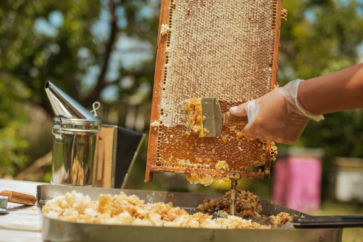 Raw honey is more nutritious than its pasteurized counterparts. (nata-lunata/Shutterstock)