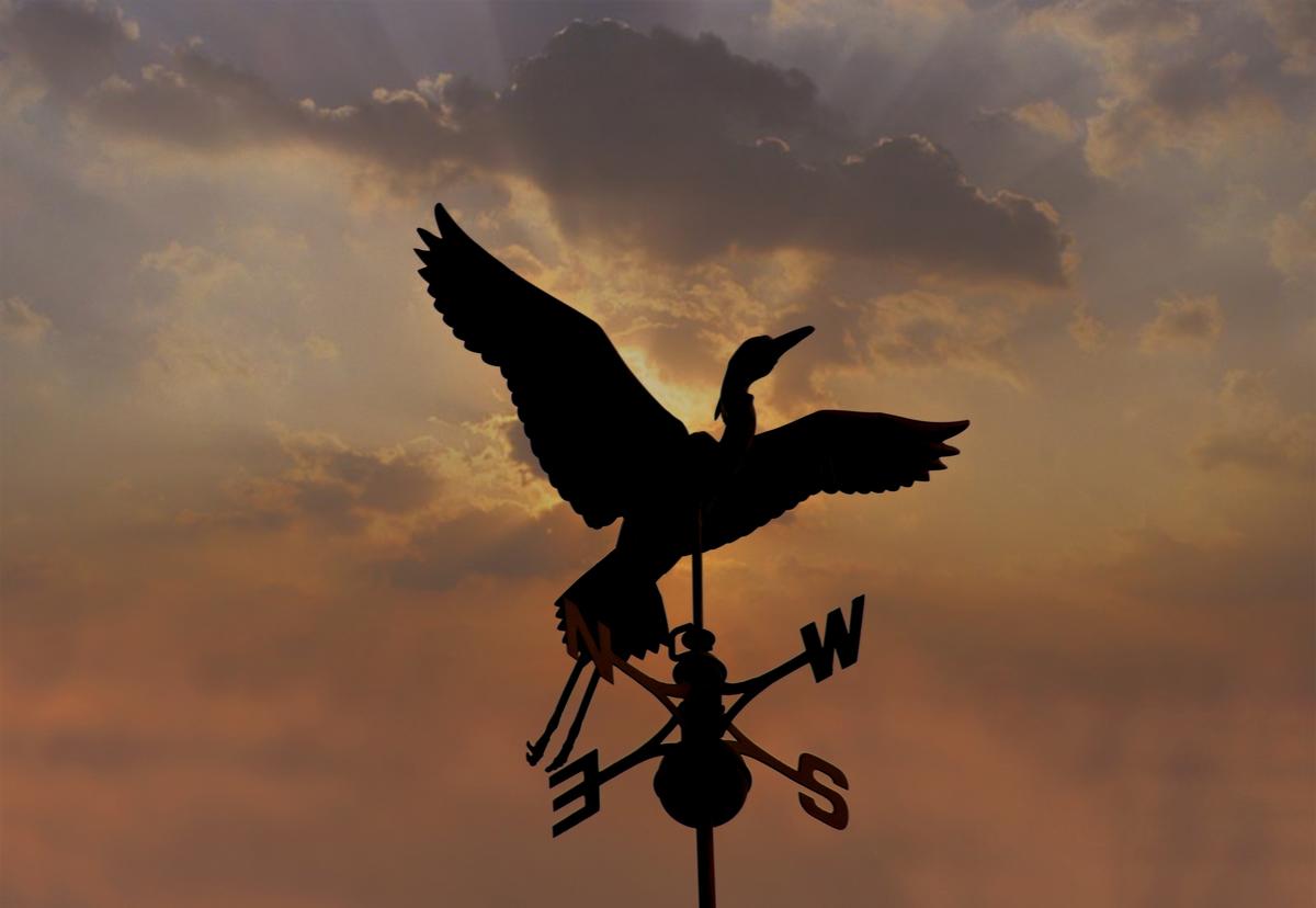 Install a Weather Vane