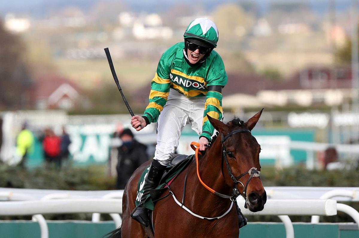 Historic Grand National Winner Minella Times Retired